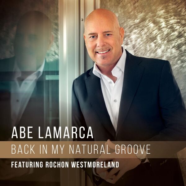 Cover art for Back in My Natural Groove